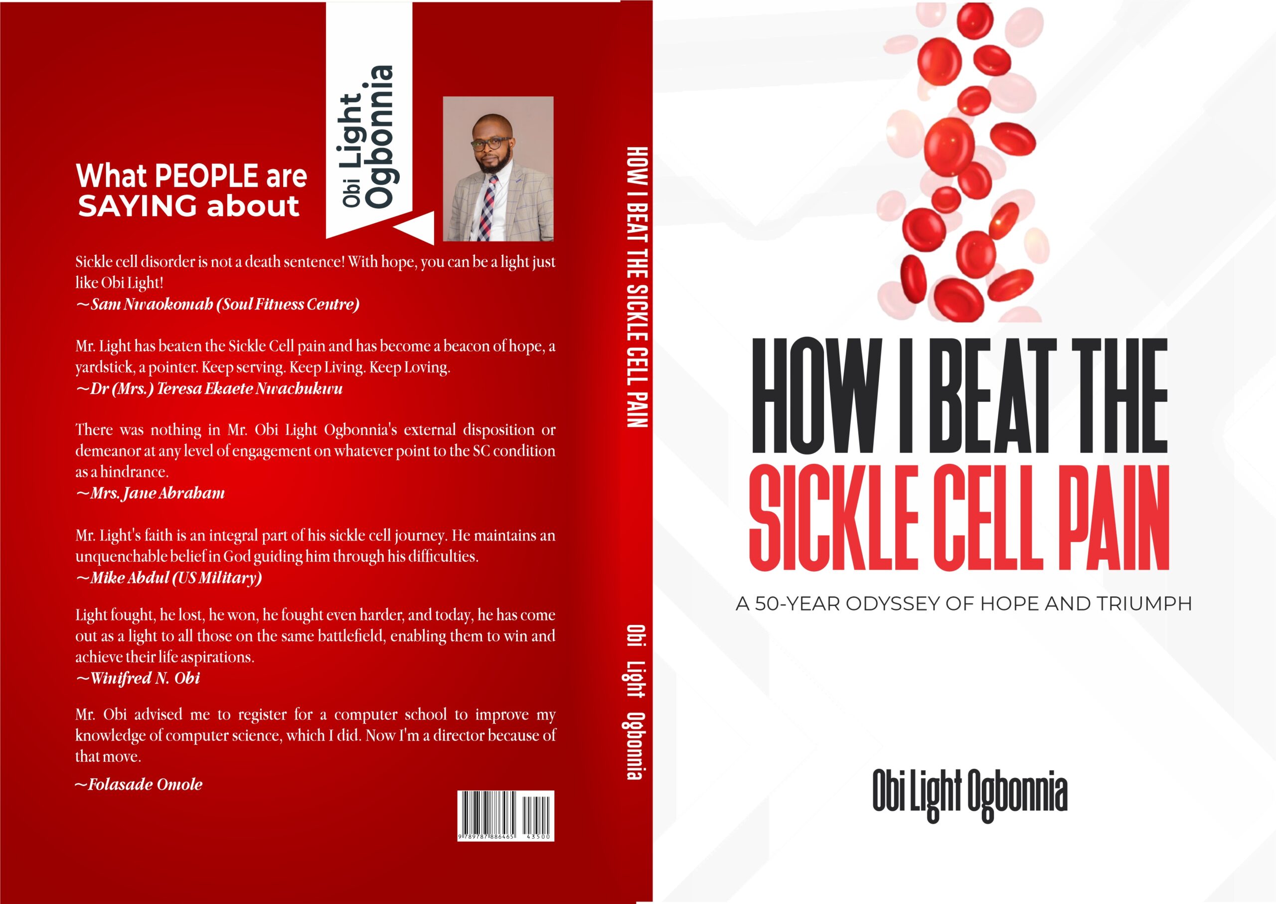How I Beat The Sickle Cell Pain book cover